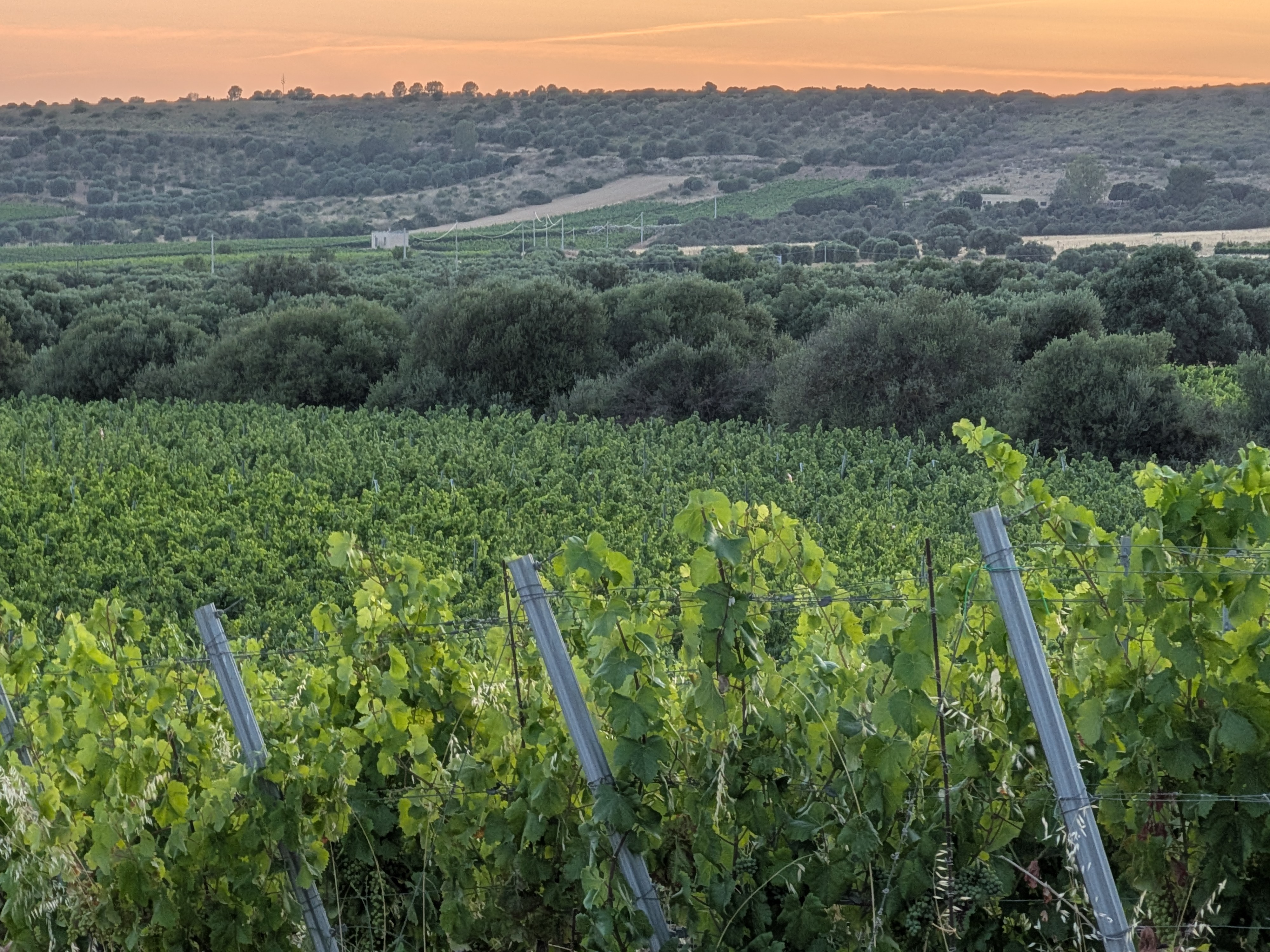 Paesaggio Serdiana