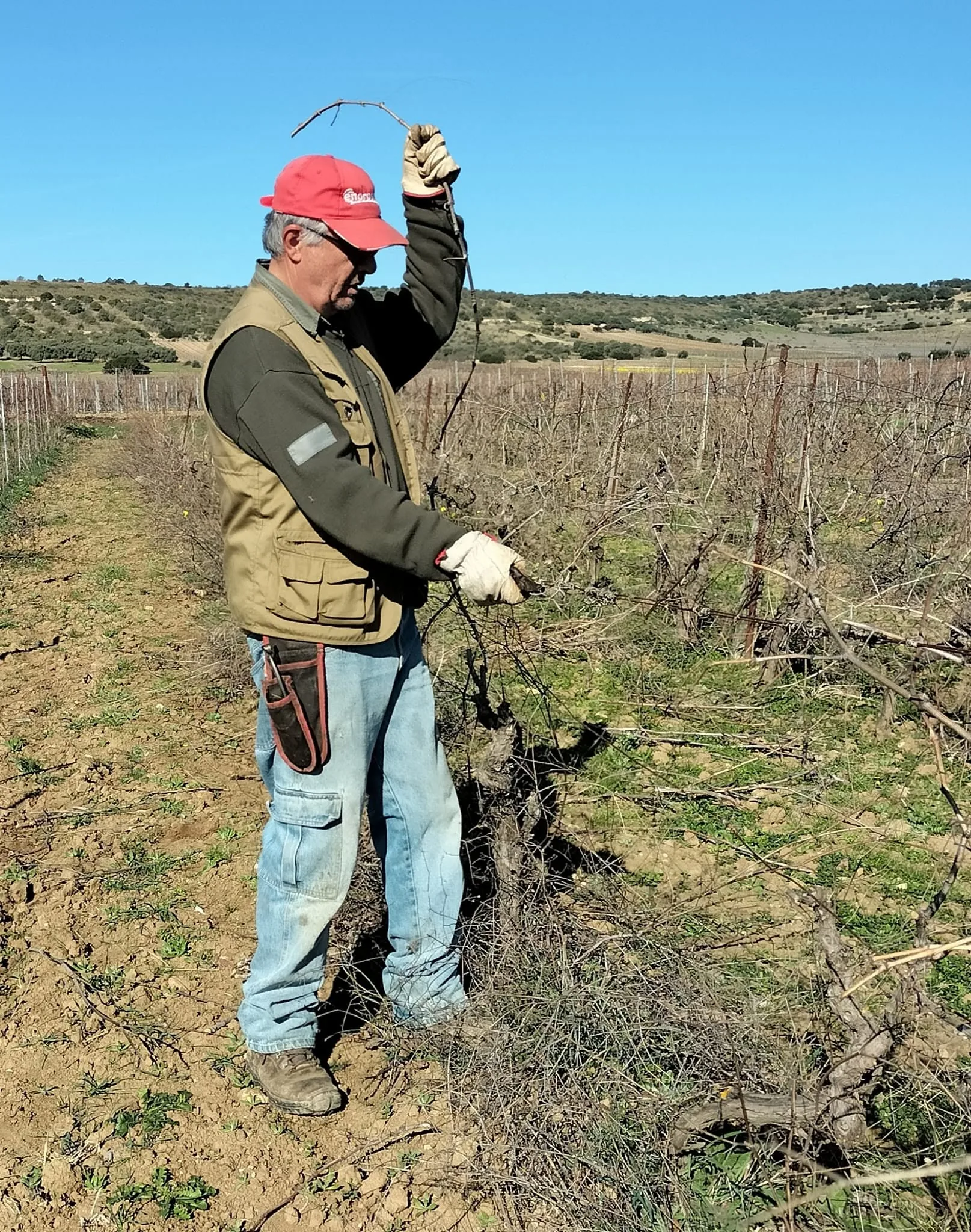 maurizio