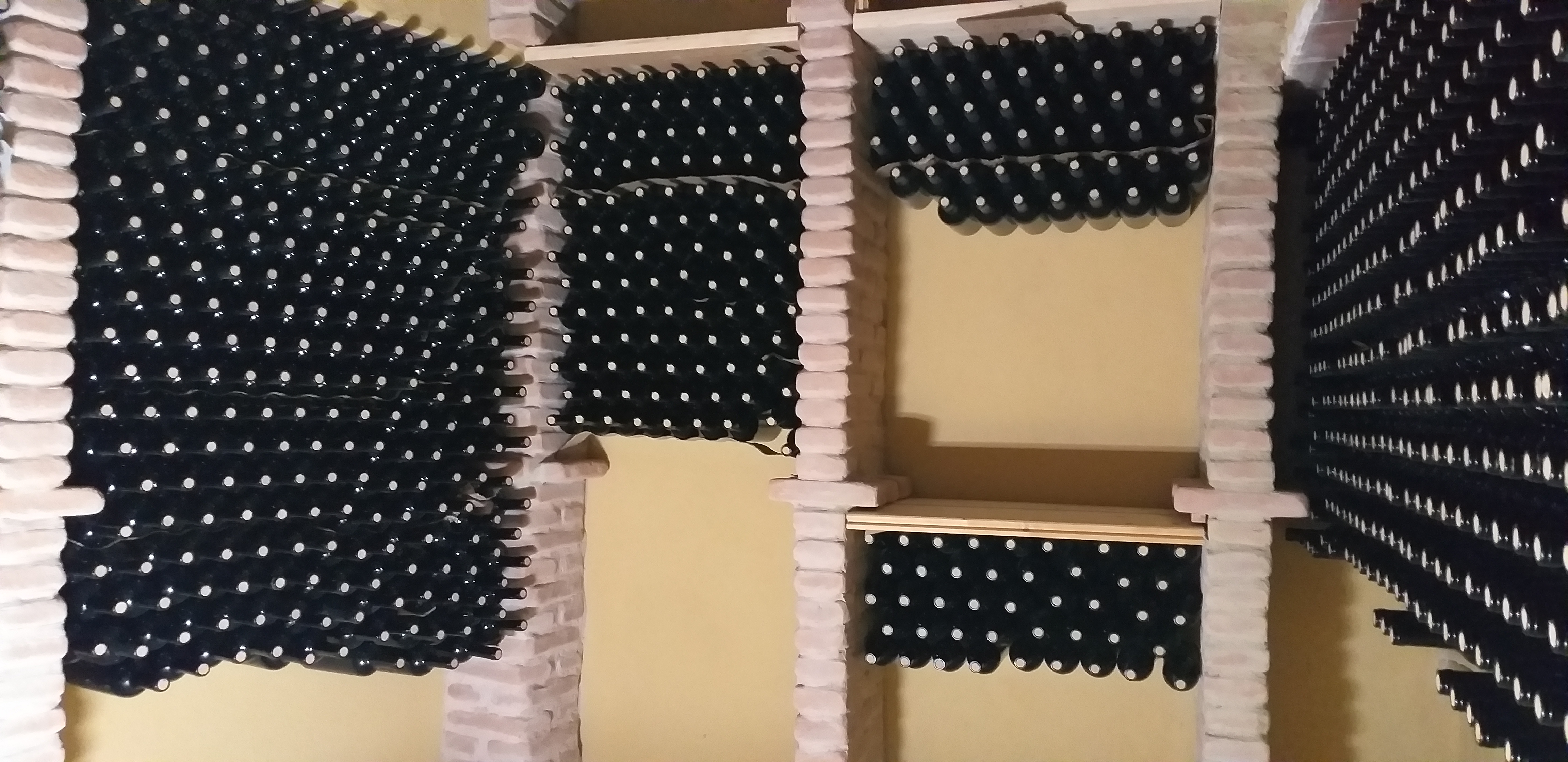 Cantina Altea Illotto